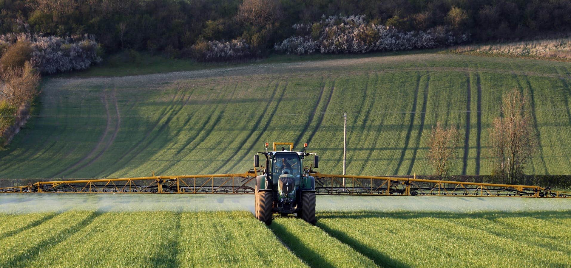 Agricultural services