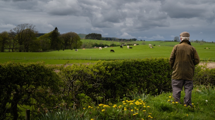 Land and Estate Management