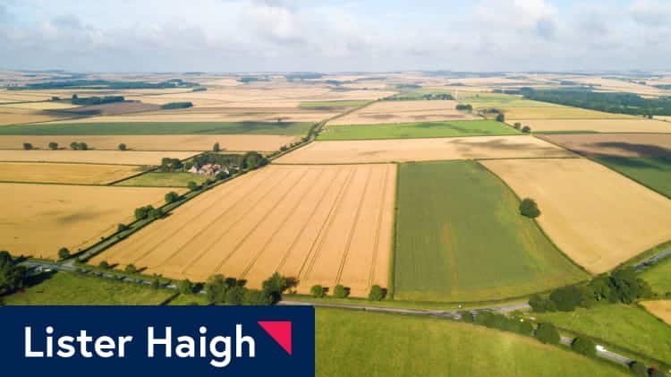 Lister Haigh