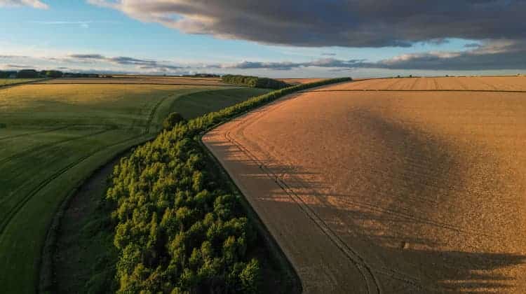 agricultural land services yorkshire