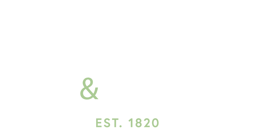 logo - link to homepage